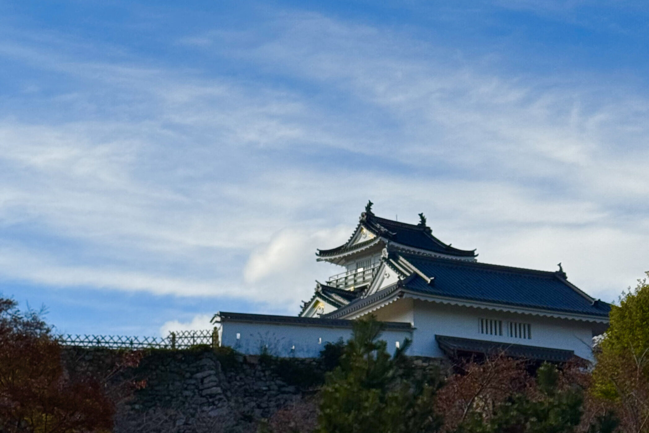 事務所近くの癒しスポット