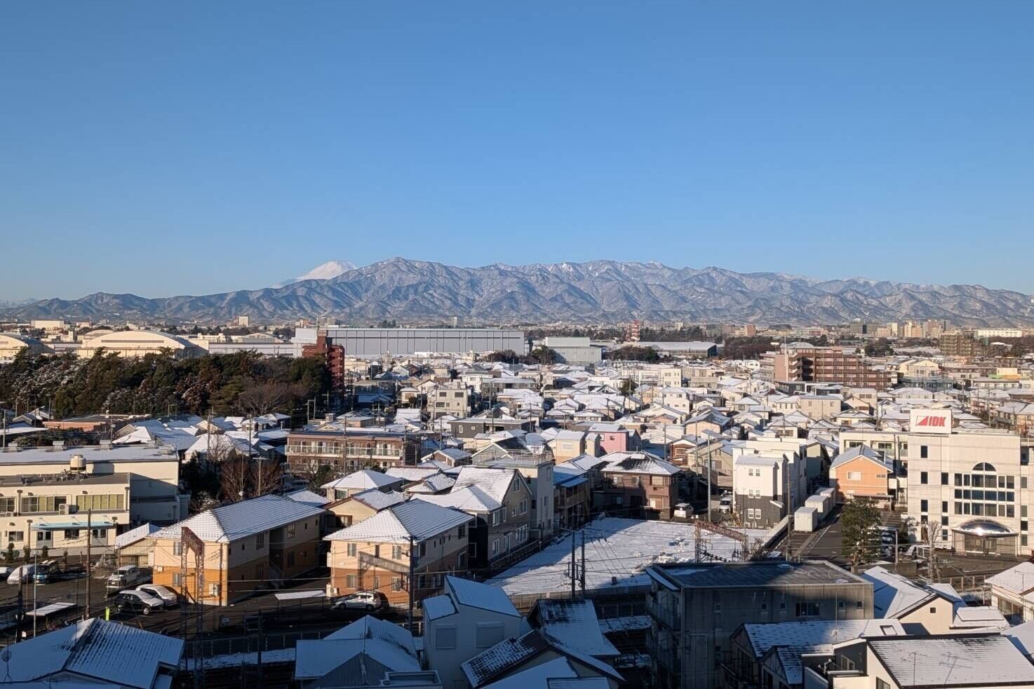 雪が去って、花粉が来る