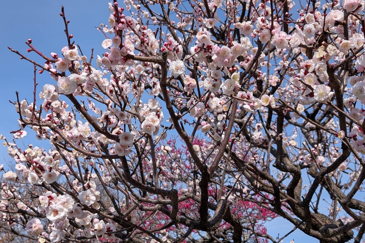 関内に新しい施設が・・・！