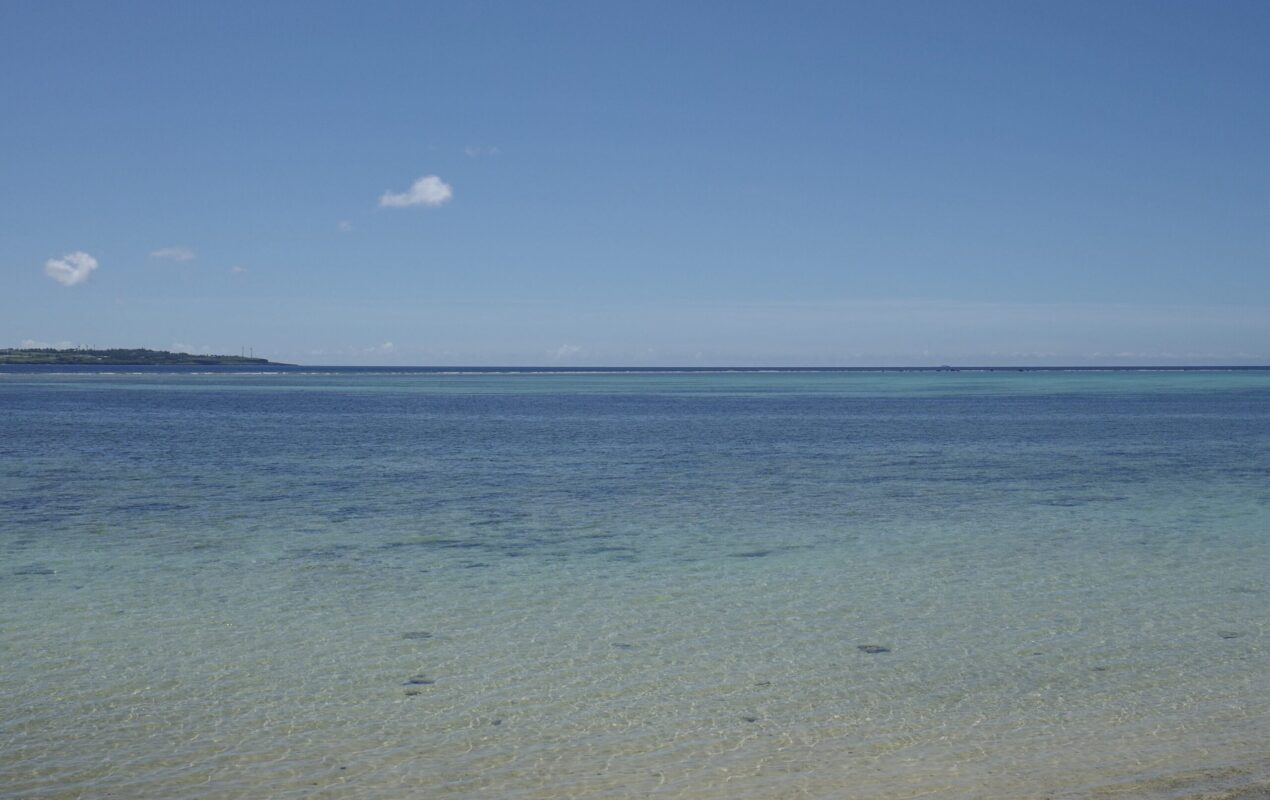 夏!!
